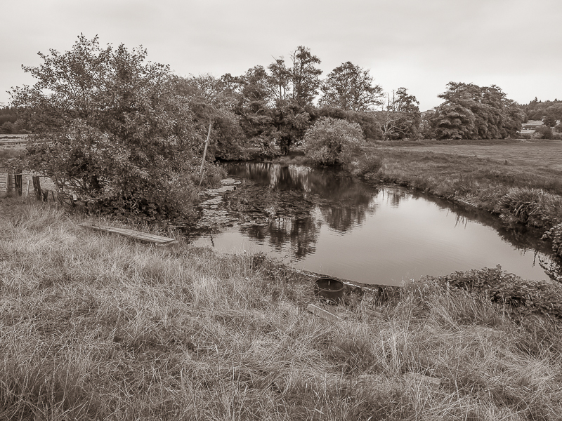 Fishing Hole on Blind Slough - Brownsmead