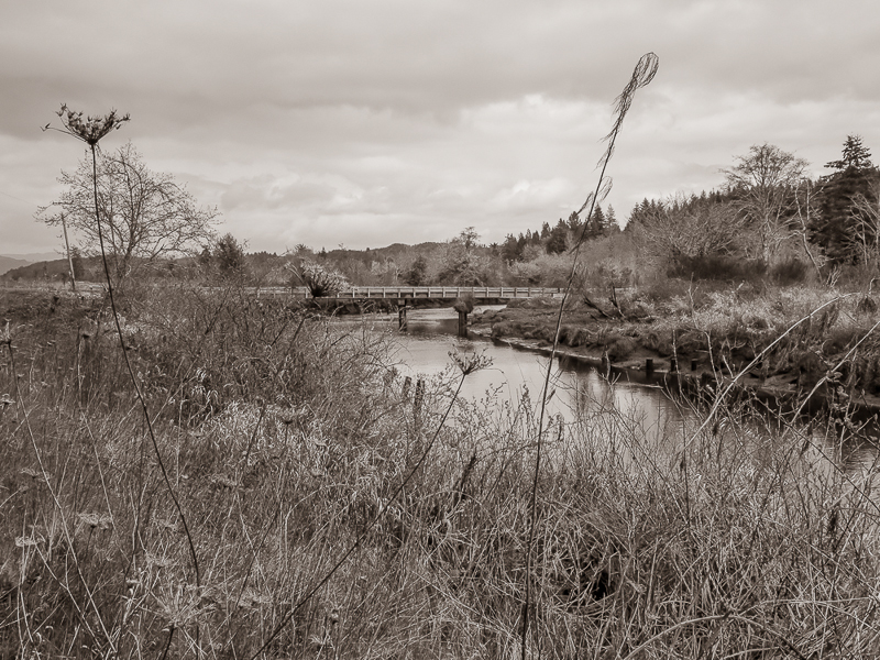 Gnat Creek at Aldrich Point Road - Brownsmead