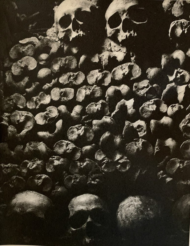 Polly Purvis * Catacombs