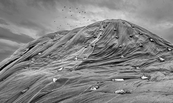 Loren Nelson • Birds Over Mt Barrows