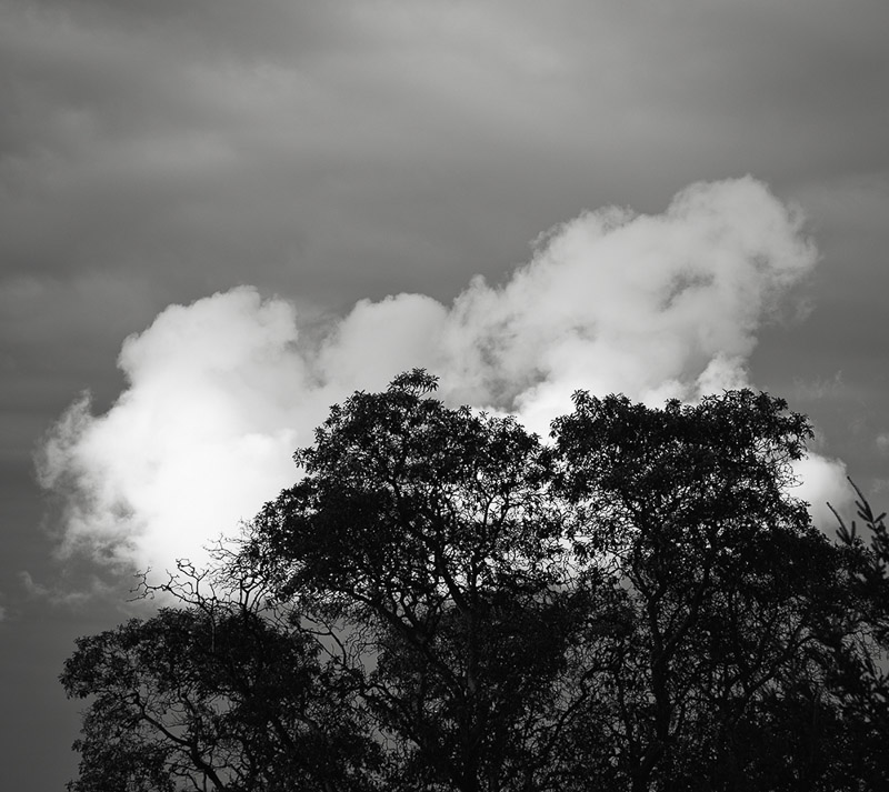Dean Forbes • more clouds than sun