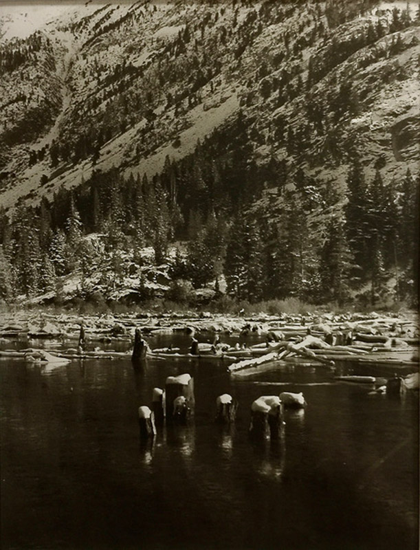 Jim Fitzgerald • Lundy Lake Beaver Pond