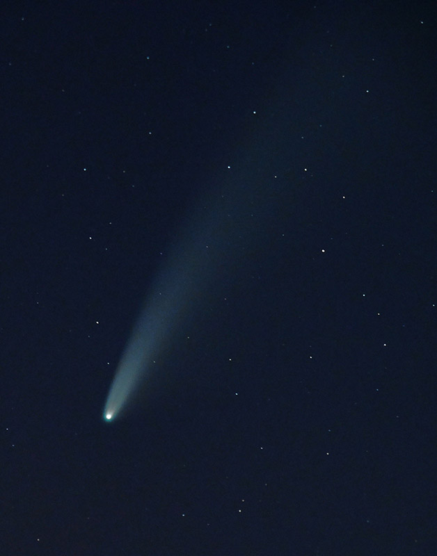 Jonathan Lingel • Comet Neowise from an Astoria back yard