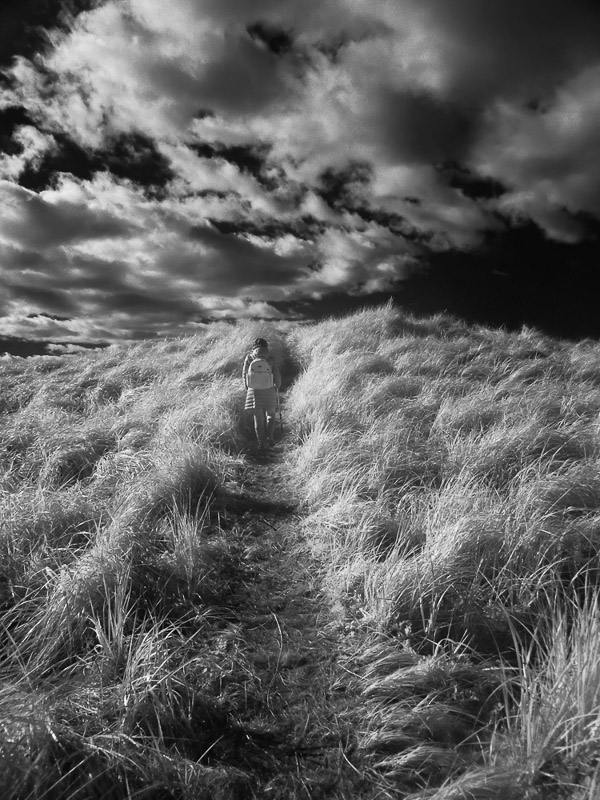 Jonathan Lingel • Jane walking through the dunes on the way to the beach with infrared allowed camera