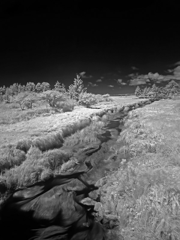 Jonathan Lingel • Near the Jetty Lagoon at Fort Stevens with infrared allowed camera
