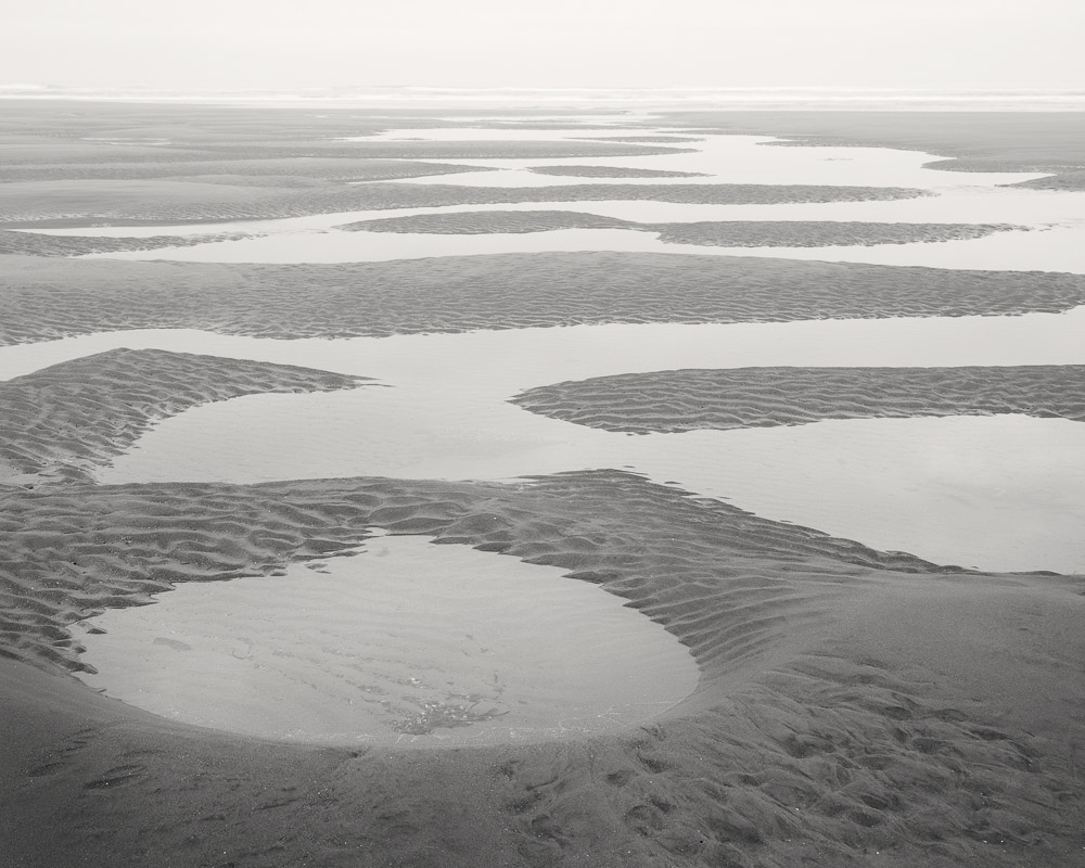 Nicholas Dill • Early Grey