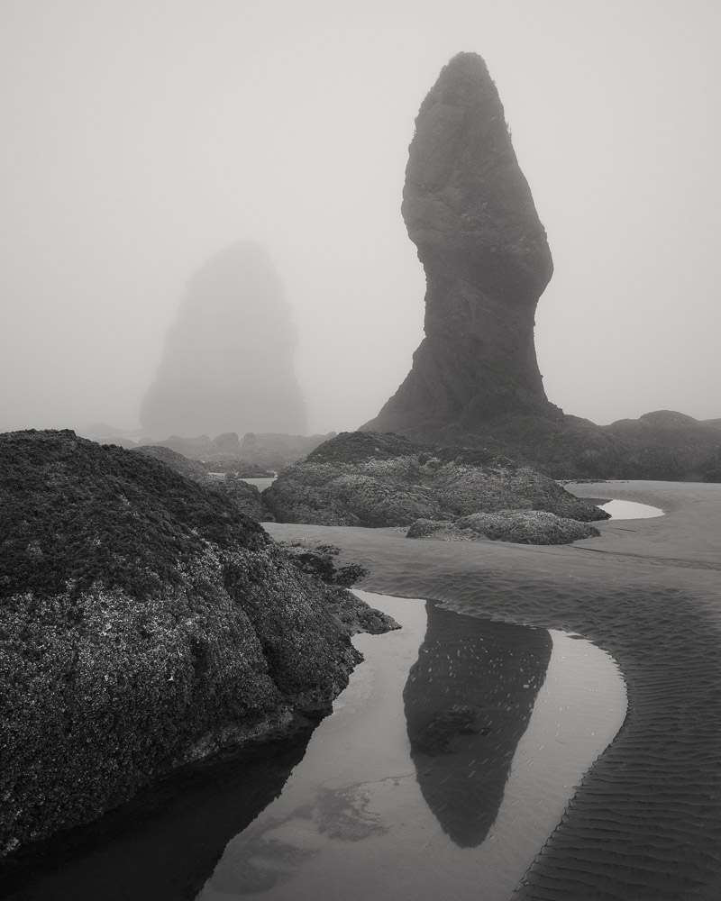 Nicholas Dill • Ghosts of the Tide
