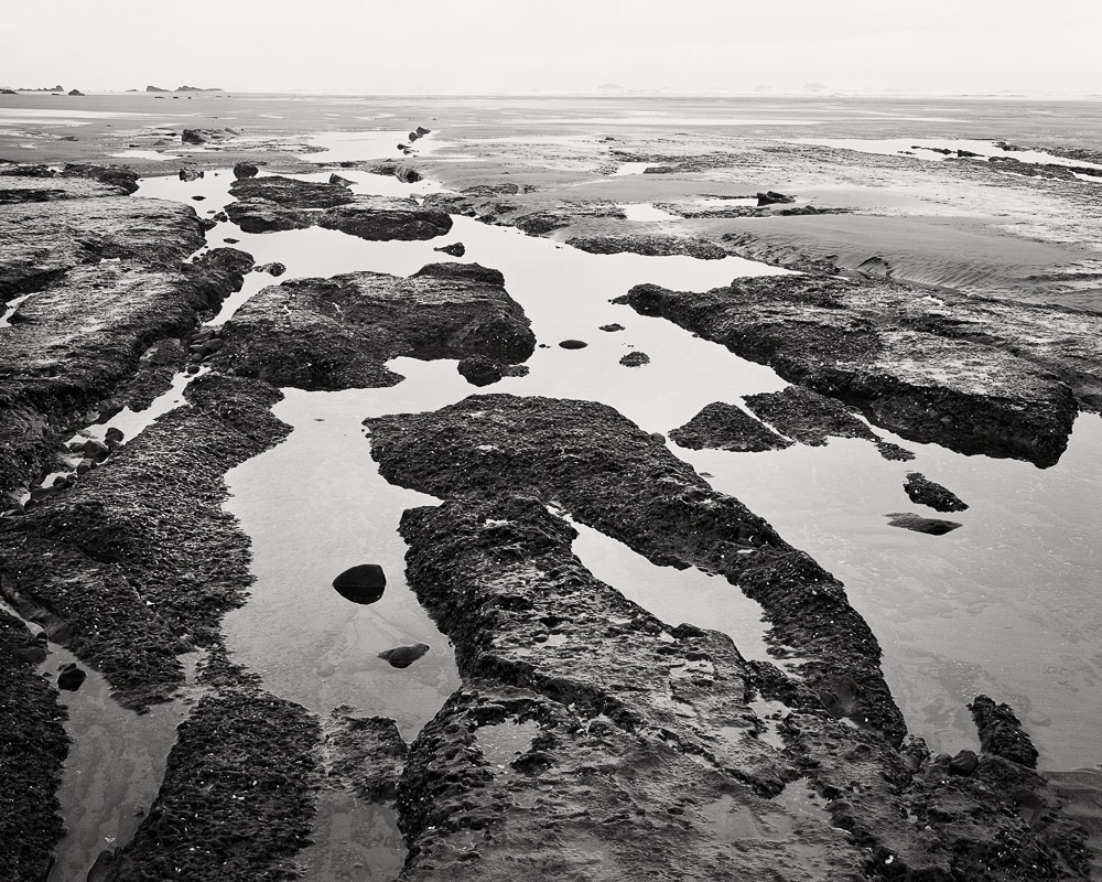 Nicholas Dill • The Beach Remembers
