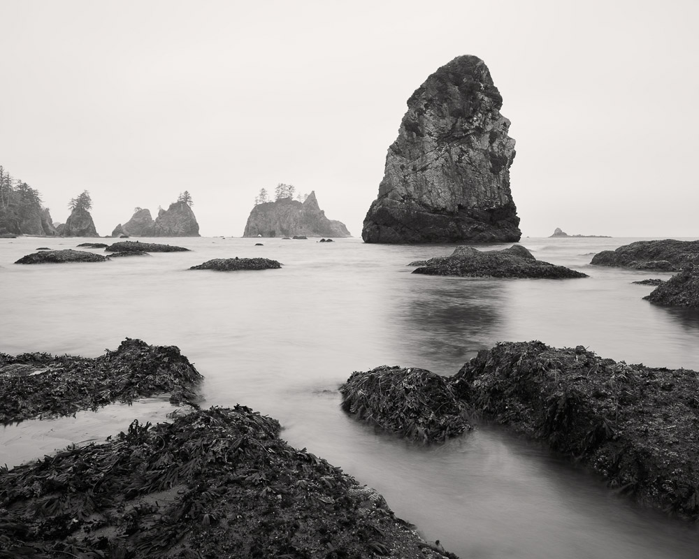 Nicholas Dill • The Day the Ocean Won