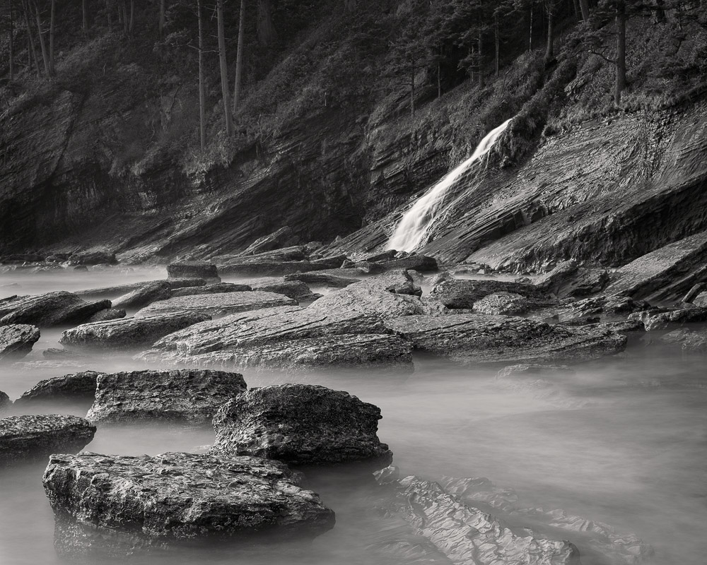 Nicholas Dill • The Long Defeat