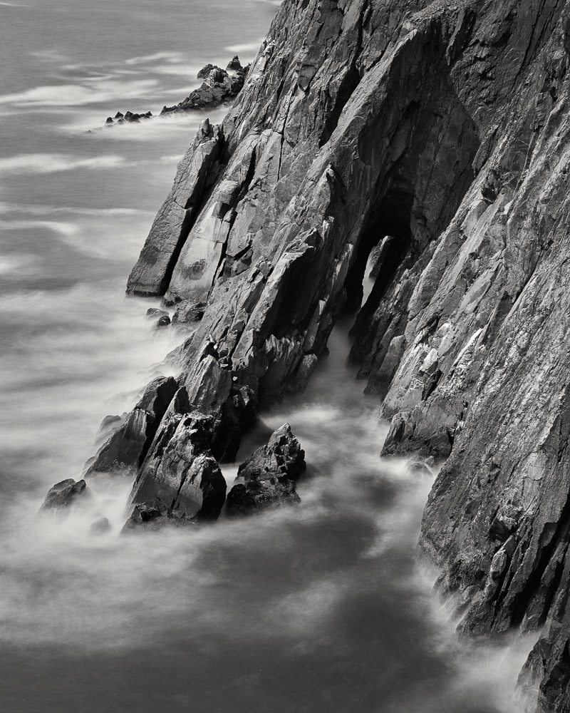 Nicholas Dill • Where Harpies Dare