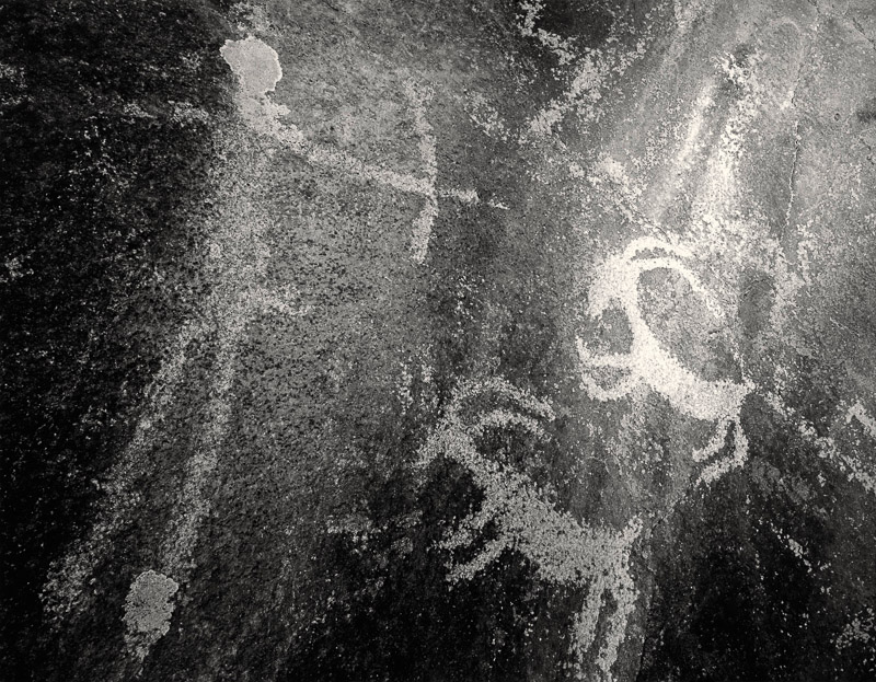 Lone Grave Butte #530, 2008