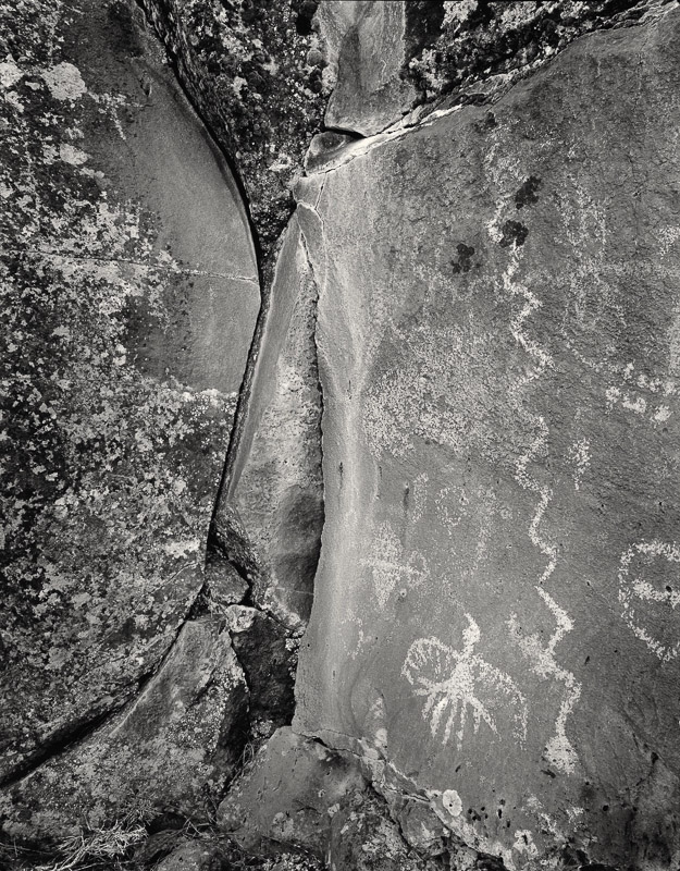 Lone Grave Butte #583, 2008