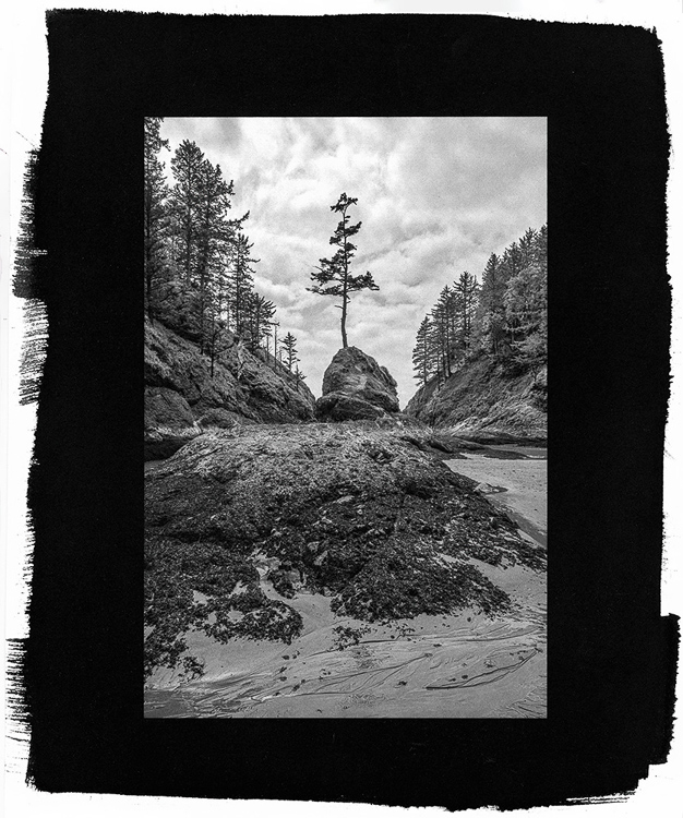 David White • Sentinel