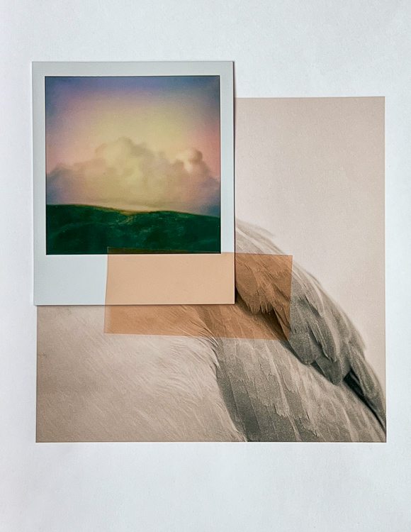 Susan Isaacson • Cloud Wing