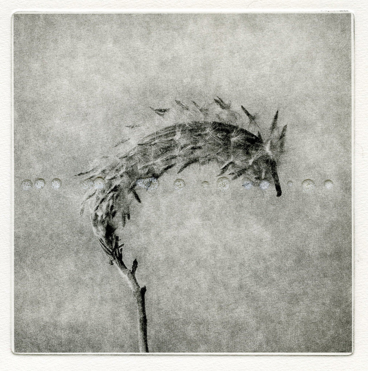 Yelena Zhavoronkova • Aftertaste. Powdered Milk
