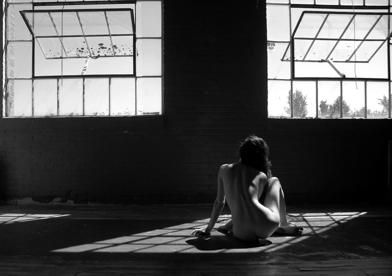 Dave Levingston • Morning Light