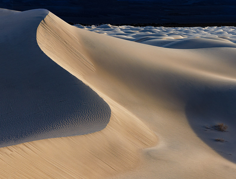 Don Jacobson • Dunes 1