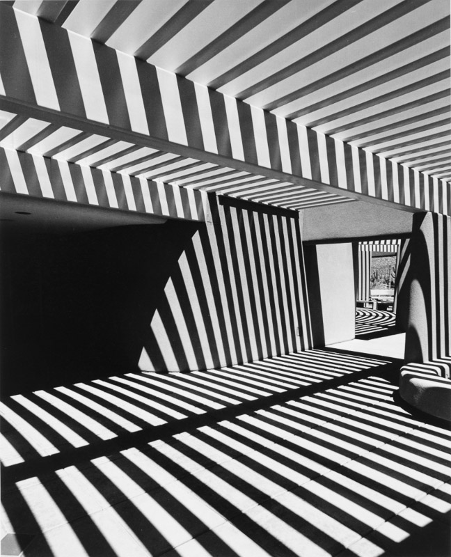 Ron Dobrowski • Desert Museum
