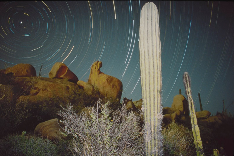 Terry Thompson • Baja Nights