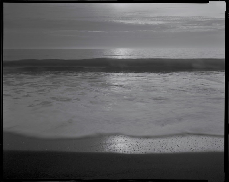 Terry Thompson • Wave Symmetry