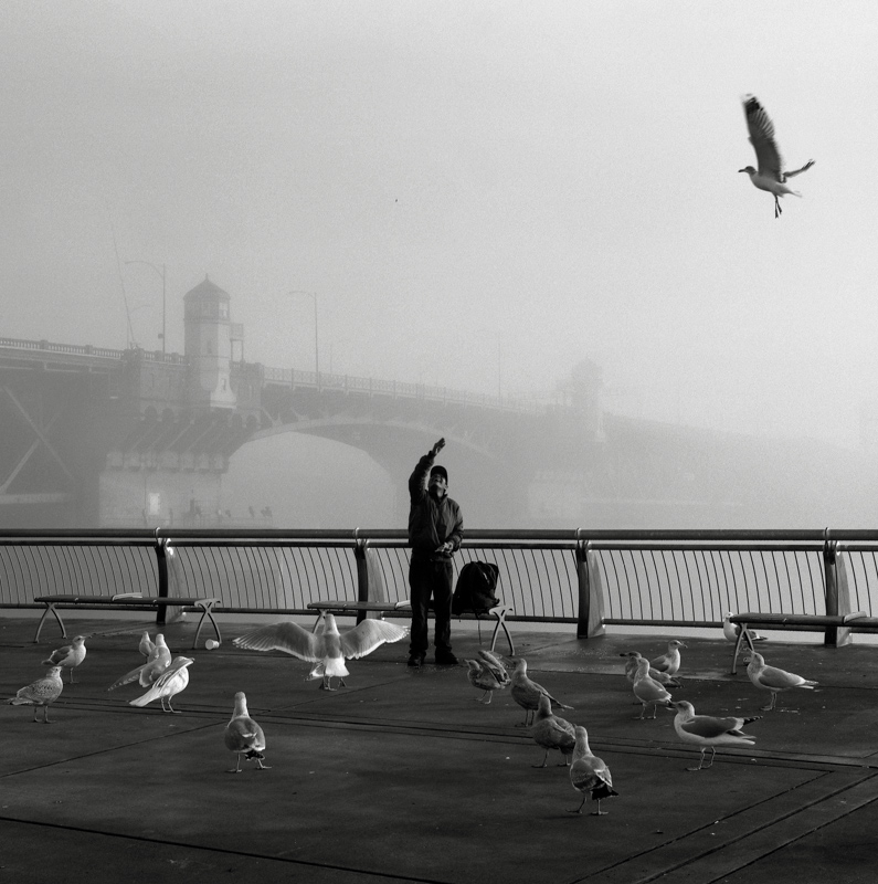 27. Man with Birds, Portland