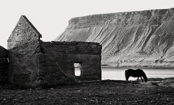 Jim Congleton - Pony and Shed, Iceland - 6 x 9 on 8.5 x 11 - Pigment Ink Print - $75