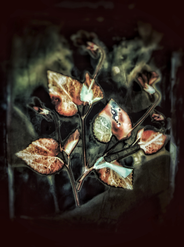 a garden that dreams of you