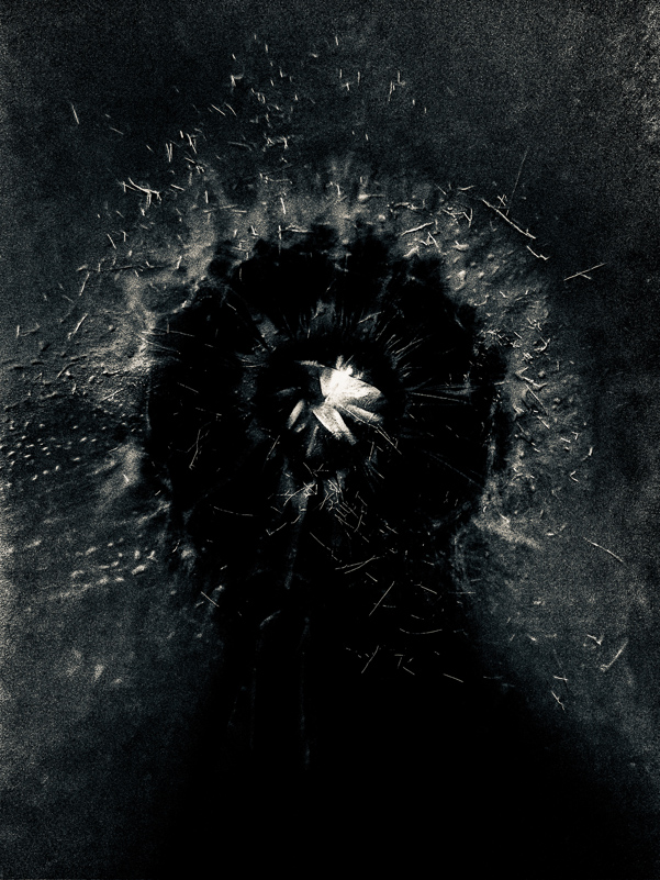 dark wishes
