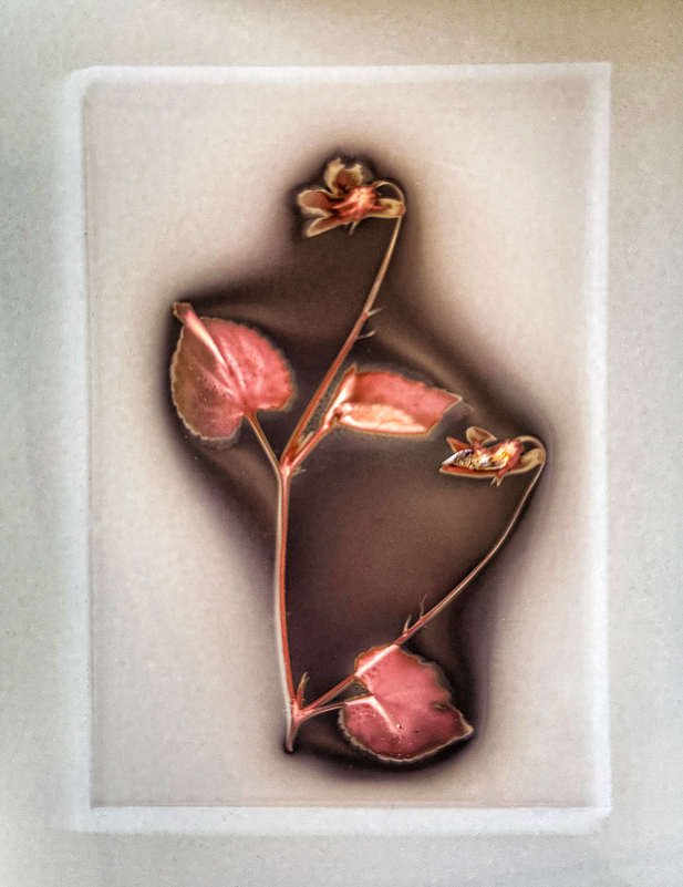 elegance creating