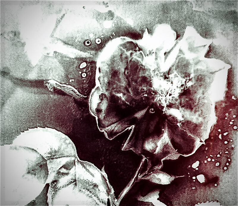 fading before being seen