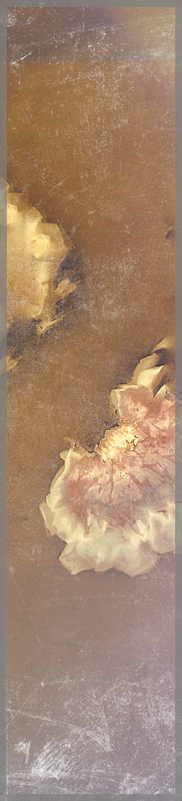 tales woven in twilight II