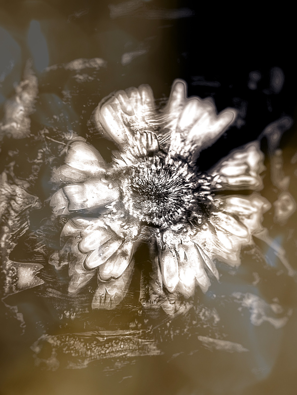 weightless in yesterday
