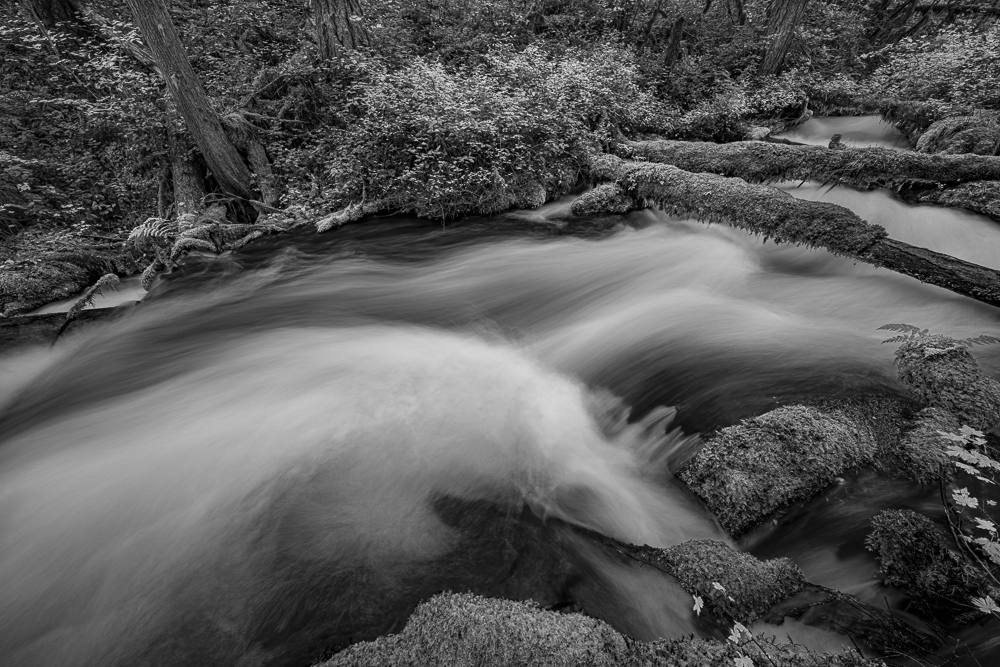 Olallie Creek #10