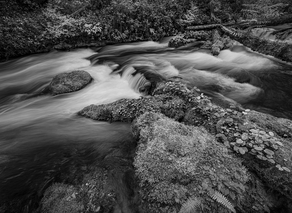 Olallie Creek #11