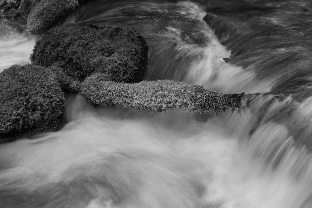 Olallie Creek #13