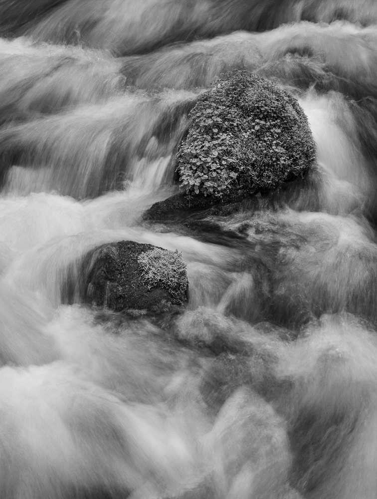 Olallie Creek #14
