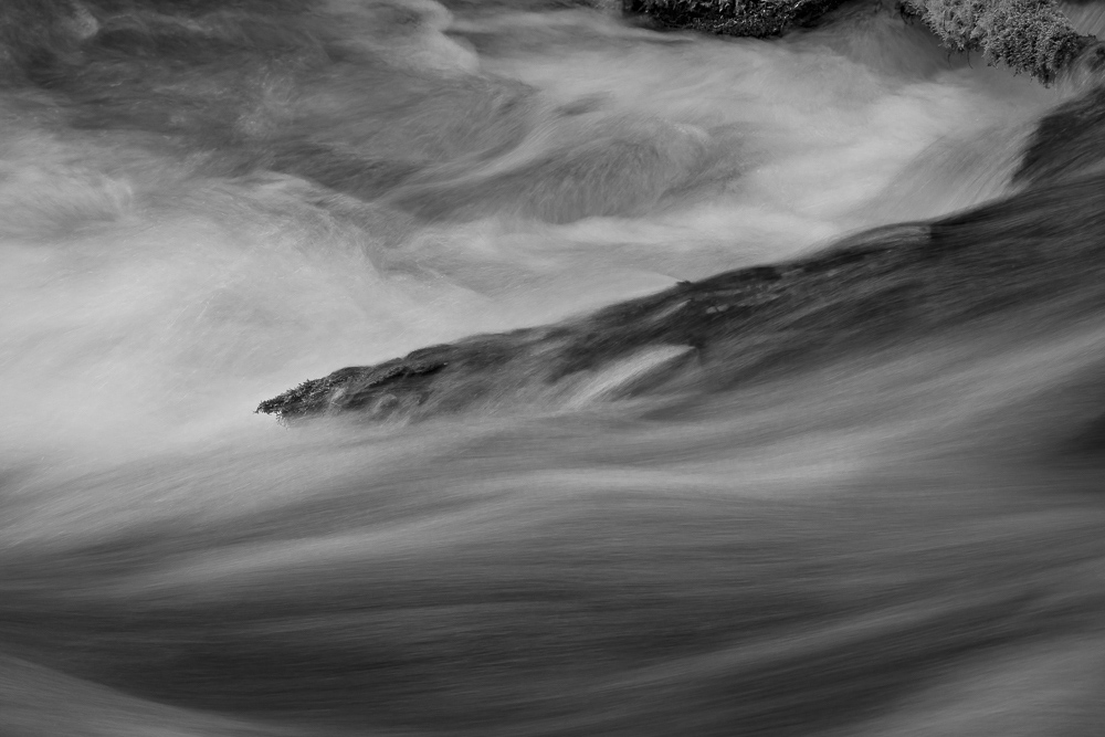 Olallie Creek #15