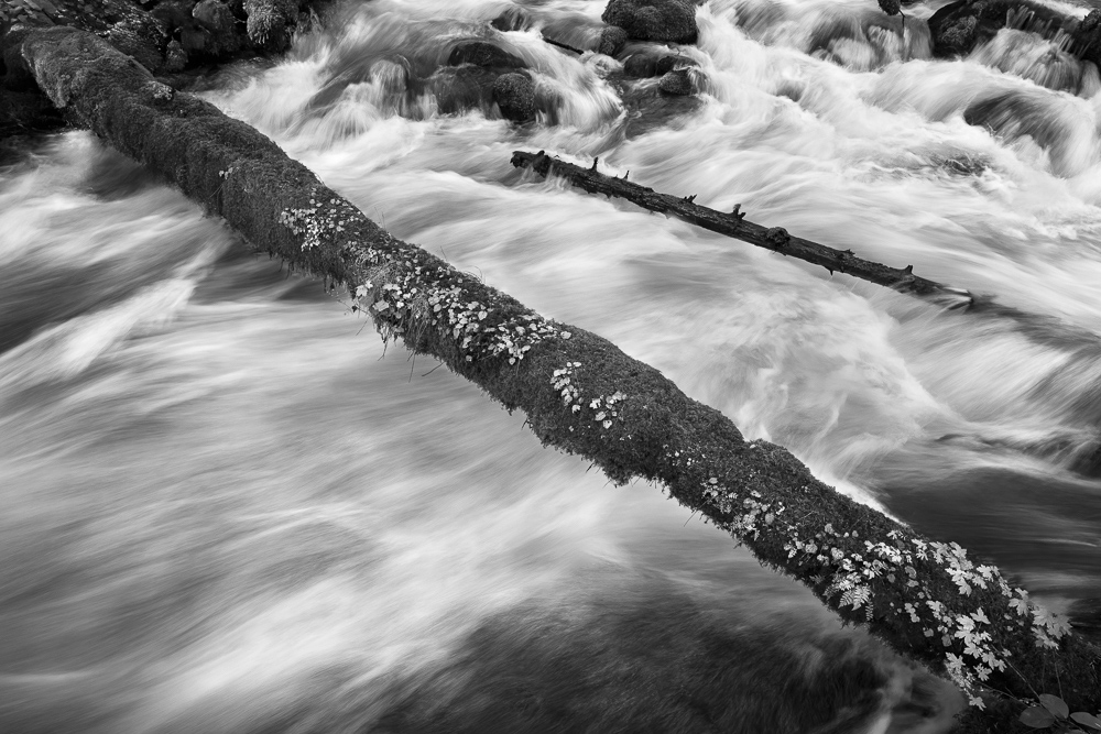 Olallie Creek #2