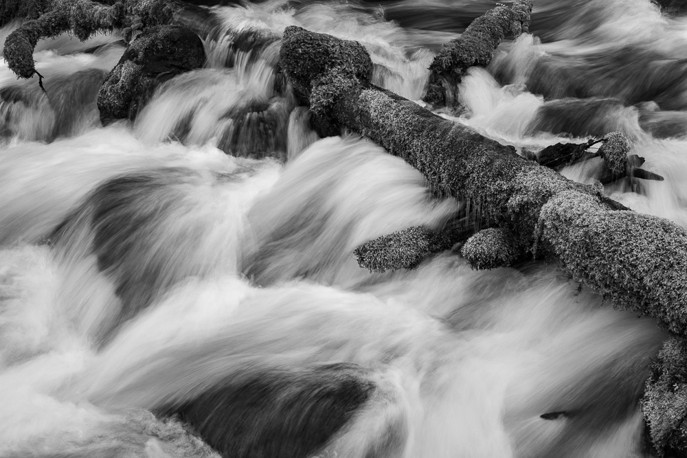 Olallie Creek #3