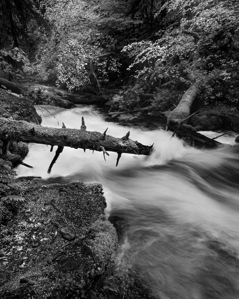 Olallie Creek #6