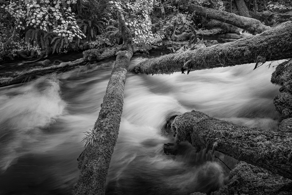 Olallie Creek #7
