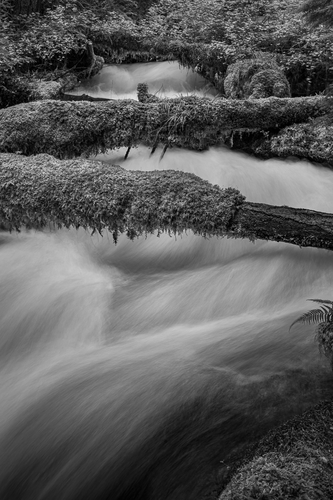 Olallie Creek #9