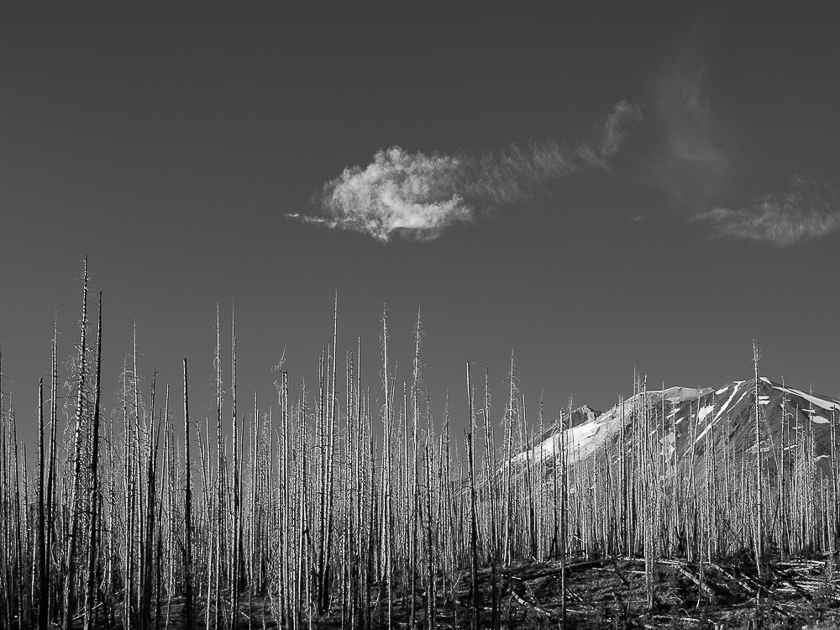 Jan Becket • Cascade Creek