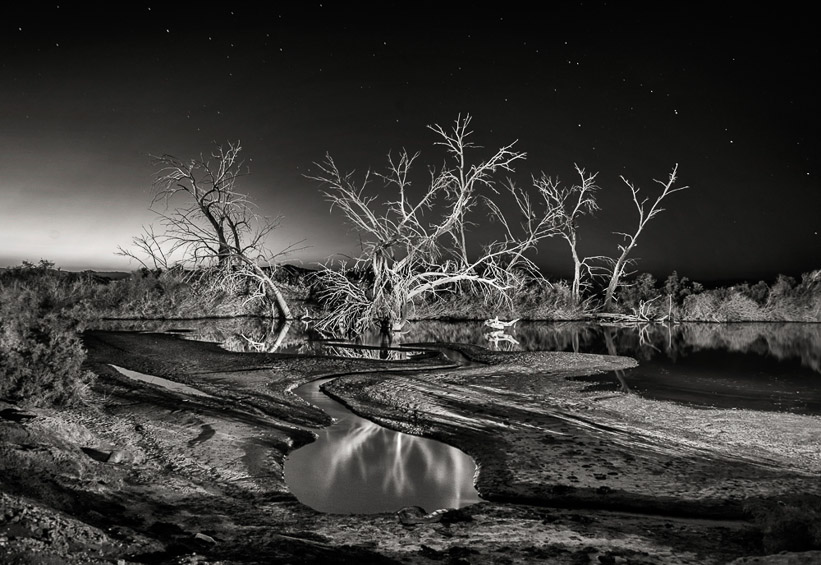 Jody Miller • Pond at the edge of the sea