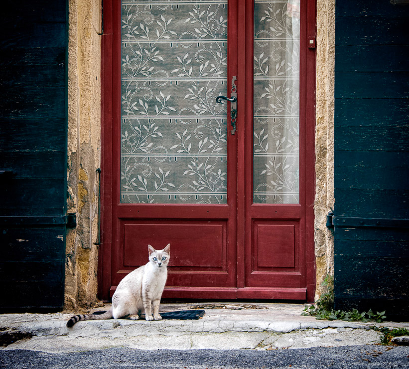 Jody Miller • Siamese, Provence