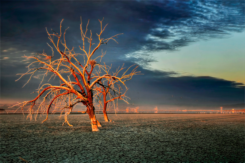 Dawn on the Cottonwoods