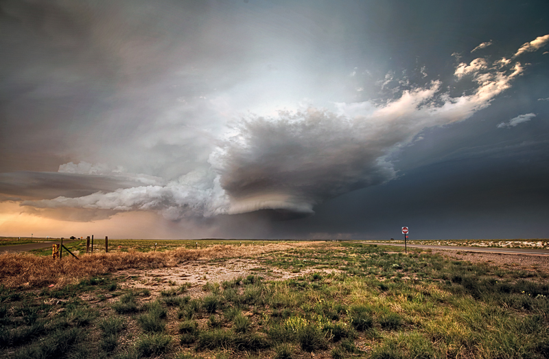 The Storm Comes on Angels' Wings