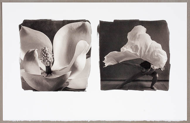 Michael Puff •
Couplet #1  Magnolia 
