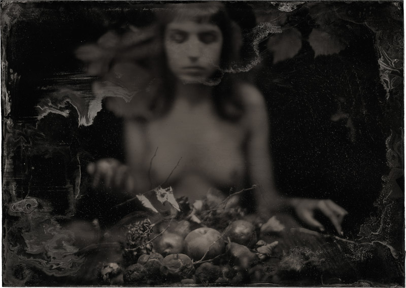 14_James Wigger_Fruits of Our Labours